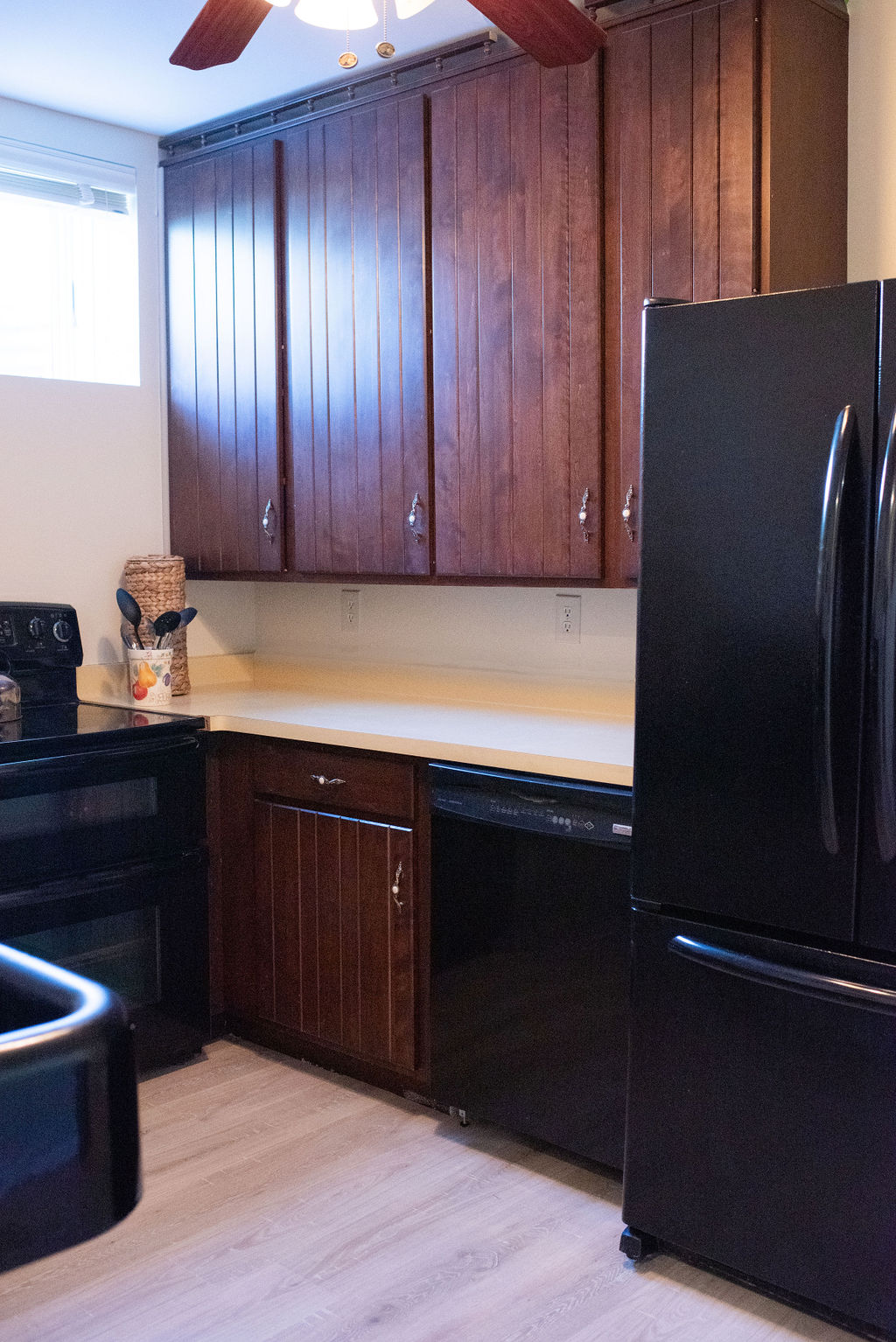 Kitchen cabinets and refrigerator